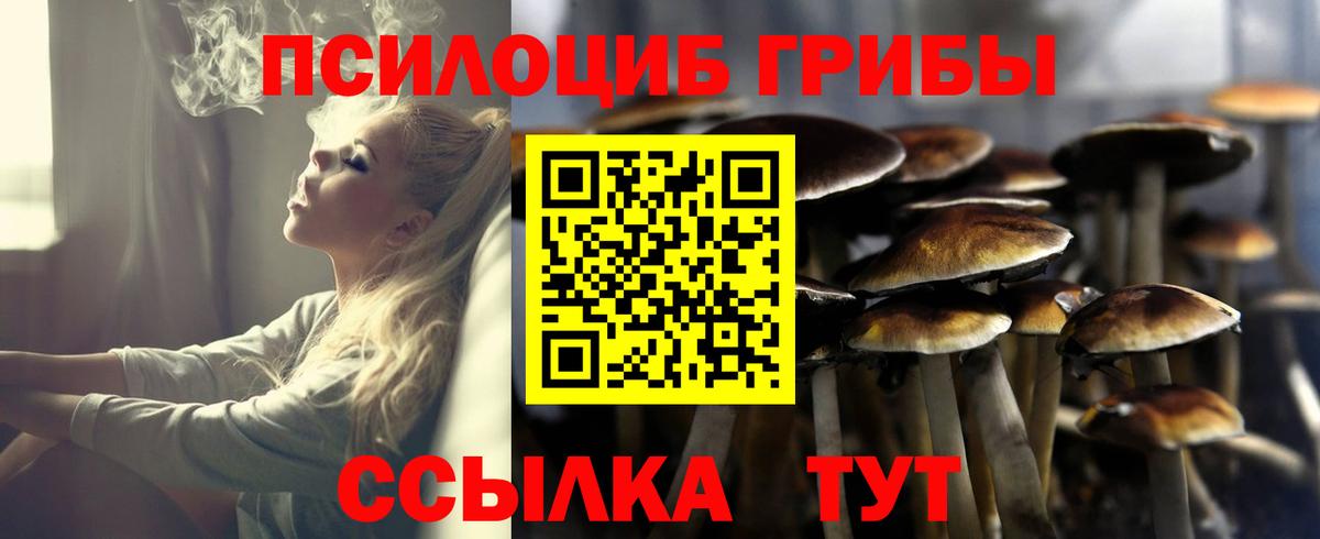 Галлюциногенные грибы MAGIC MUSHROOMS Красногорск