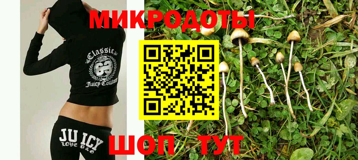 Псилоцибиновые грибы MAGIC MUSHROOMS  Вход с VPN  Красногорск 